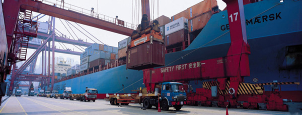 羊肉進(jìn)口報關(guān)