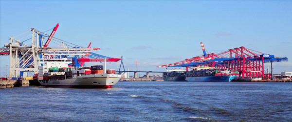 冷凍魚進口報關(guān)