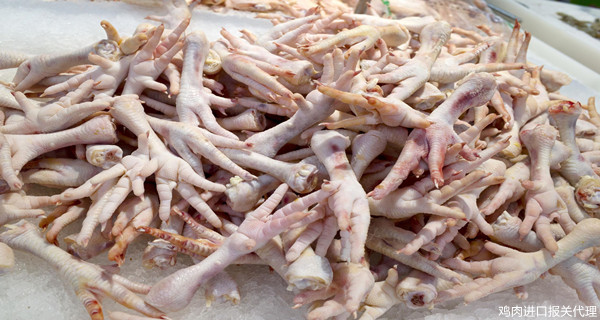 進(jìn)口報關(guān)代理