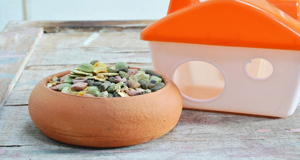 寵物糧食進口報關(guān)