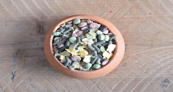 寵物糧食進口報關(guān)