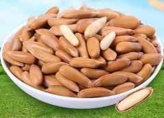 帶殼松子進(jìn)口報關(guān)[案例]